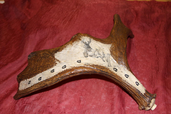 Scrimshaw Antler Cribbage Board Made From Moose Elk Deer And Caribou